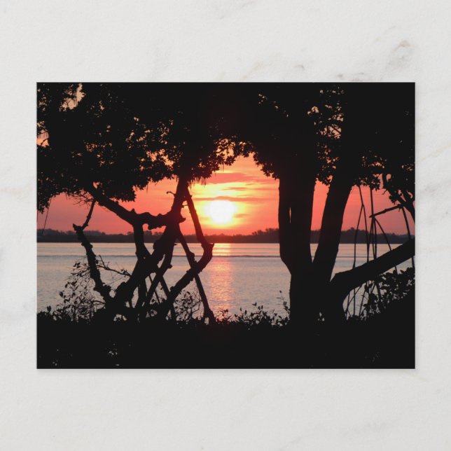 Sonnenaufgang über der Bucht Postkarte (Vorderseite)