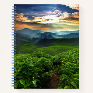Sonnenaufgang über der Teefarm Notizbuch