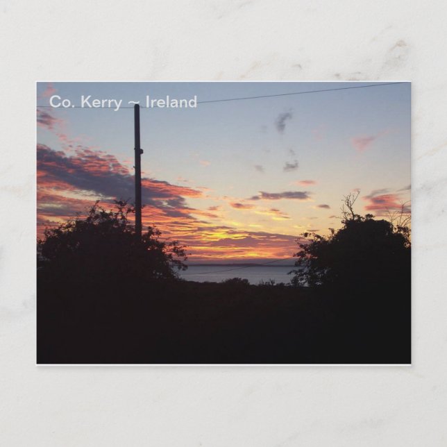 Sonnenaufgang über Tralee Bay, Grafschaft Kerry, I Postkarte (Vorderseite)