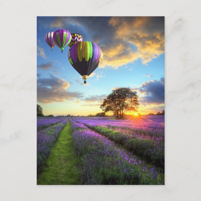 Sonnenaufgang und Heißluftballons über Lavendelfel Postkarte (Vorderseite)