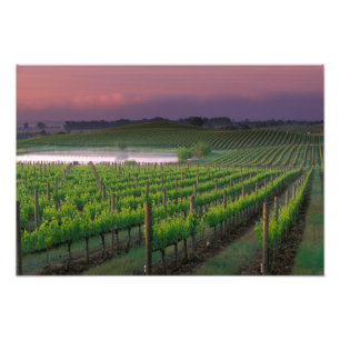 Sonnenaufgangsfarbe im fernen Nebel Fotodruck