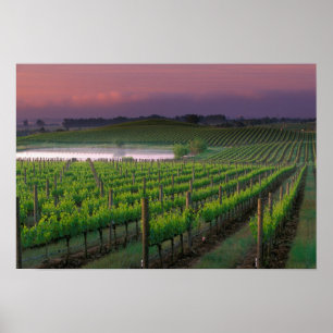 Sonnenaufgangsfärbung im fernen Nebel dahinter Poster