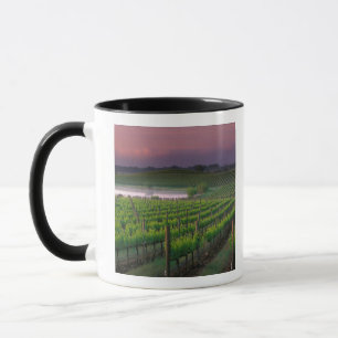 Sonnenaufgangsfärbung im fernen Nebel dahinter Tasse