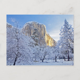 Sonnenaufgangslicht trifft El Capitan durch schnee Postkarte