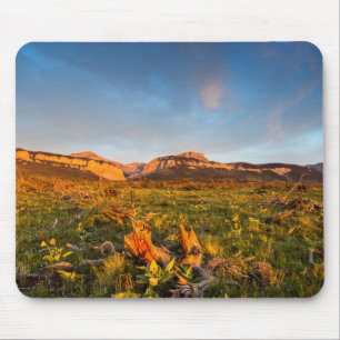 Sonnenaufgangslichter Blackleaf Canyon 2 Mousepad