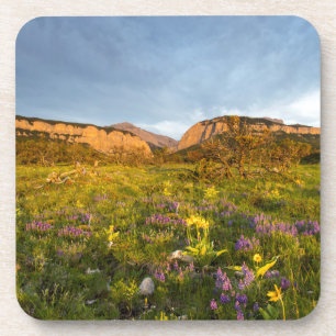 Sonnenaufgangslichter Blackleaf Canyon Untersetzer