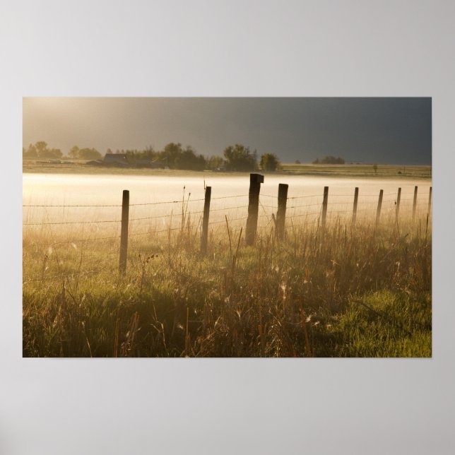 Sonnenaufgangslichter Nebel entlang des Zauns bei  Poster (Vorne)