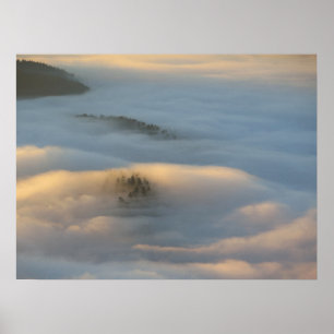 Sonnenaufgangsnebel in den Pieniny-Bergen Poster
