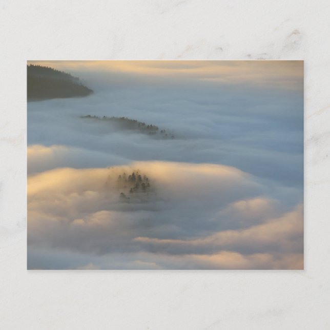 Sonnenaufgangsnebel in den Pieniny-Bergen Postkarte (Vorderseite)