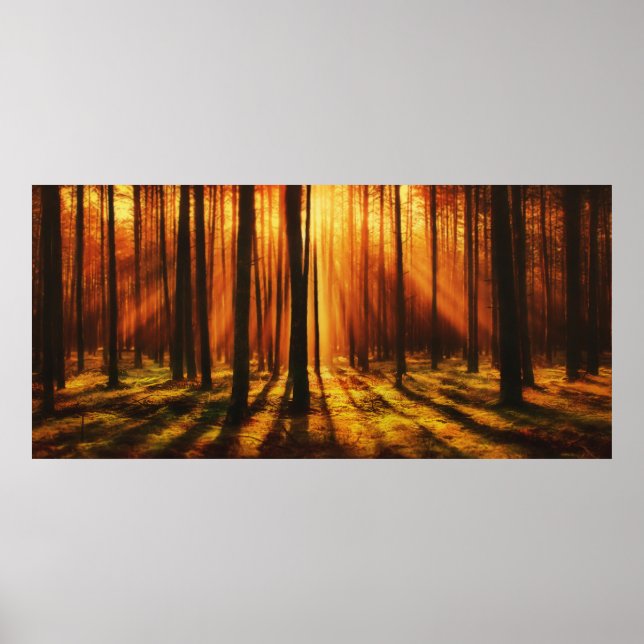 Sonnenaufgangswald Poster (Vorne)