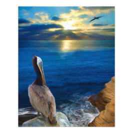 SONNENAUGEN EINES FLIKANISCHEN FOTODRUCK