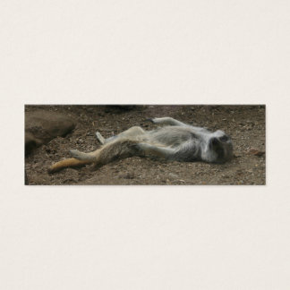 Sonnenbad Meerkat Lesezeichen