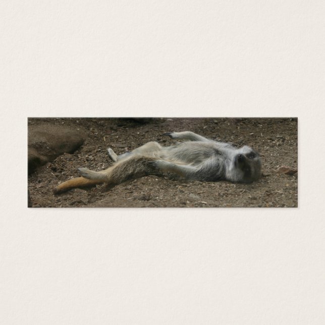 Sonnenbad Meerkat Lesezeichen (Vorderseite)