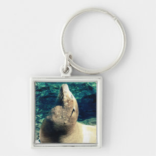 Sonnenbademeer-Löwe Schlüsselanhänger