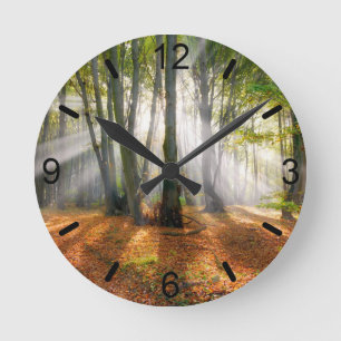 Sonnenbänke im Herbst in einem miessigen Buchenwal Runde Wanduhr