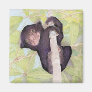 Sonnenbärenzauber Magnet