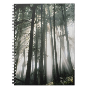 Sonnenbäume, die durch Bäume strömen, Mount Rai Notizblock