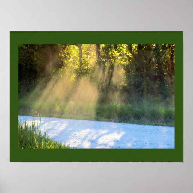 Sonnenbäume durch die Bäume Poster (Vorne)