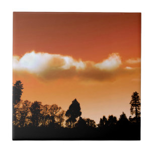Sonnenbäume Fliese