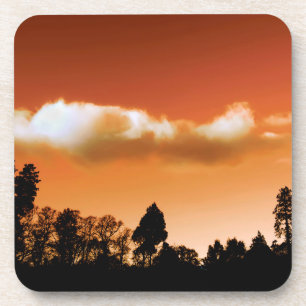 Sonnenbäume Getränkeuntersetzer