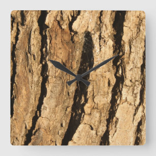Sonnenbeleuchtete Barackensteckuhle Quadratische Wanduhr