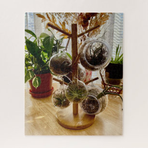 Sonnenbeleuchtete Blumentablettenanzeige