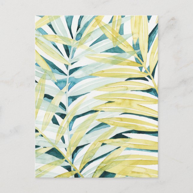 Sonnenbeleuchtete Palmen - Palmen Tree Blätter Postkarte (Vorderseite)