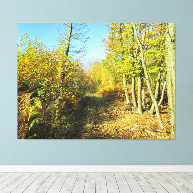 Sonnenbeleuchtete Wälder im Herbst - Leinwanddruck (Insitu (Holzboden))
