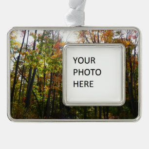 Sonnenbeleuchteter Herbstwald Herbstlandschaft Rahmen-Ornament Silber