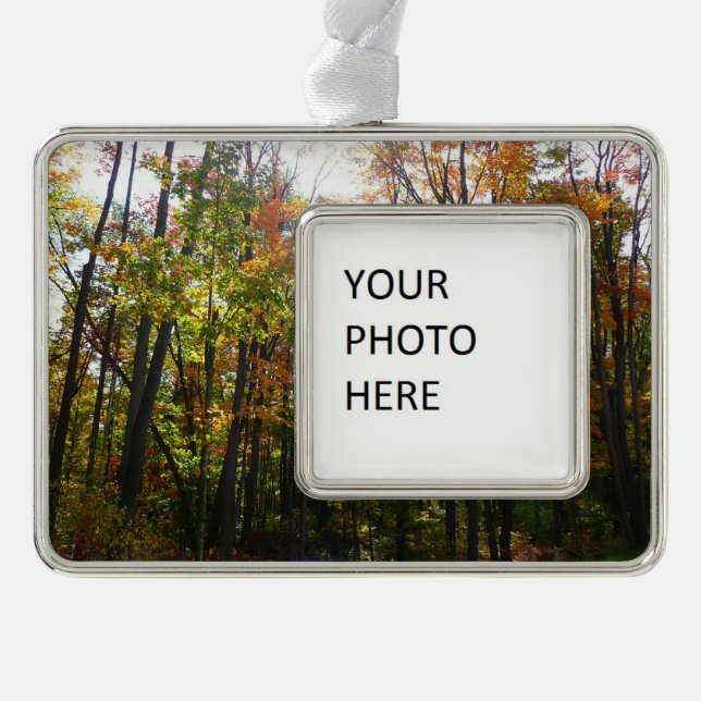 Sonnenbeleuchteter Herbstwald Herbstlandschaft Rahmen-Ornament Silber (Vorderseite)