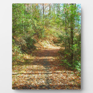 Sonnenbeleuchteter Herbstwaldpfad Fotoplatte