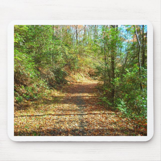 Sonnenbeleuchteter Herbstwaldpfad Mousepad (Vorne)