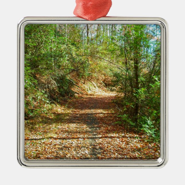 Sonnenbeleuchteter Herbstwaldpfad Silbernes Ornament (Vorne)