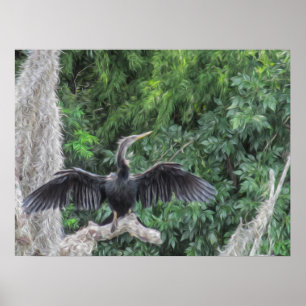 Sonnenbeschienener Anhinga auf einem moosigen Ast Poster