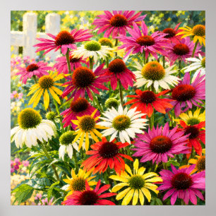 Sonnenbeschienener Echinacea-Garten Impressionisti Poster
