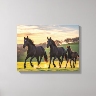 Sonnenbeschienener Galopp – Majestätische Pferde L Leinwanddruck