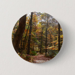 Sonnenbeschienener Herbstweg im Laurel Hill State Button