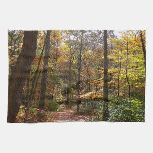 Sonnenbeschienener Herbstweg im Laurel Hill State Handtuch
