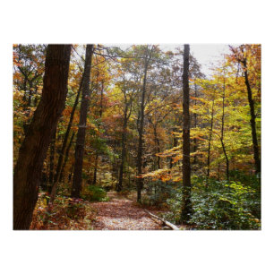 Sonnenbeschienener Herbstweg im Laurel Hill State Poster