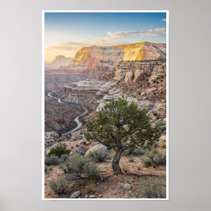 Sonnenbeschienener Sandstein-Canyon und Wacholder- Poster