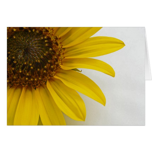 Sonnenblume (Vorderseite (Horizontal))