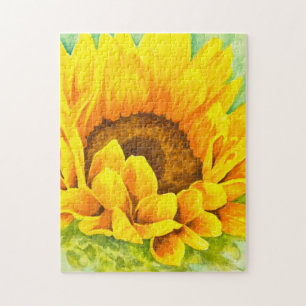 Sonnenblume