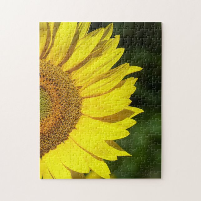 Sonnenblume (Vertikal)