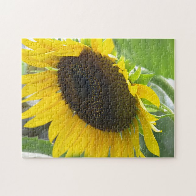 Sonnenblume (Horizontal)