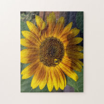 Sonnenblume