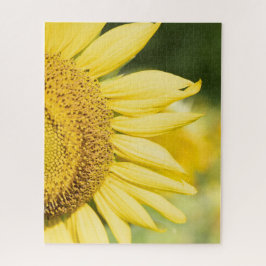 Sonnenblume