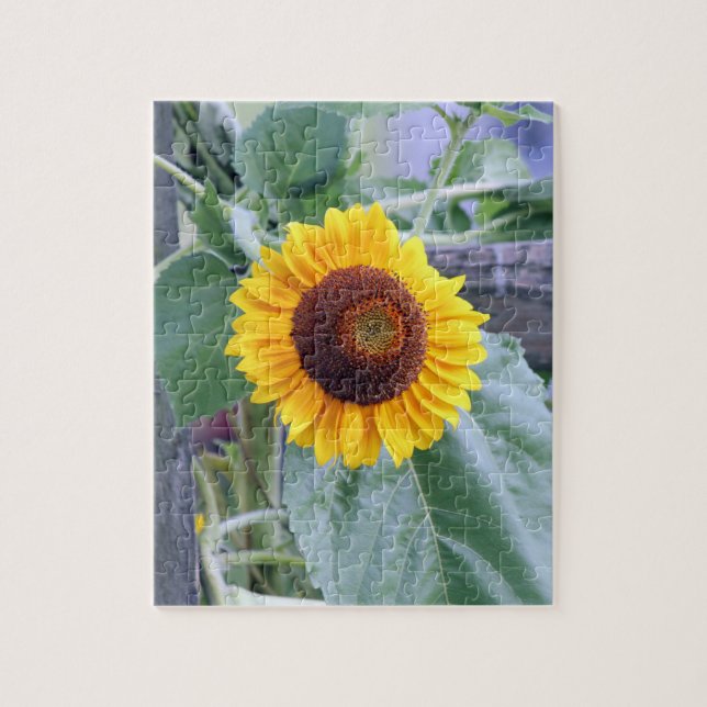 Sonnenblume (Vertikal)