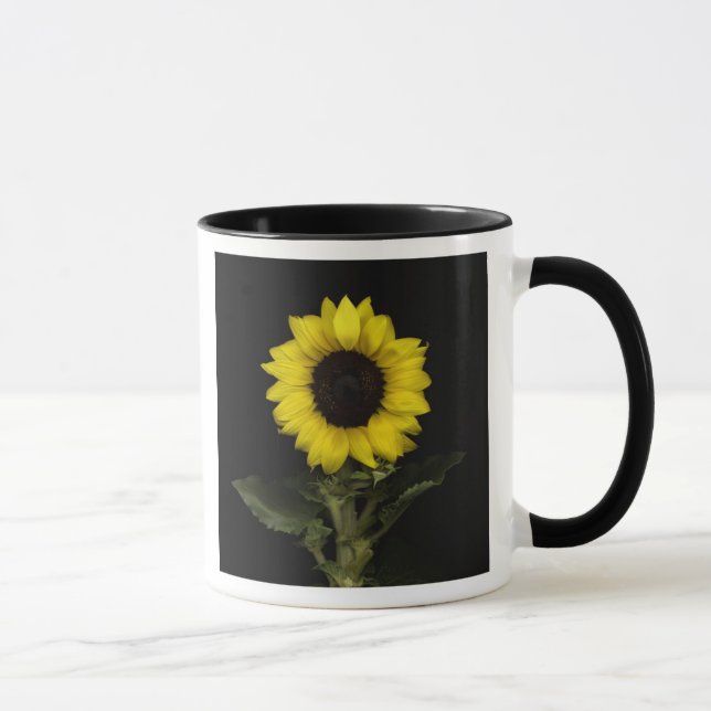 Sonnenblume 11 tasse (Rechts)