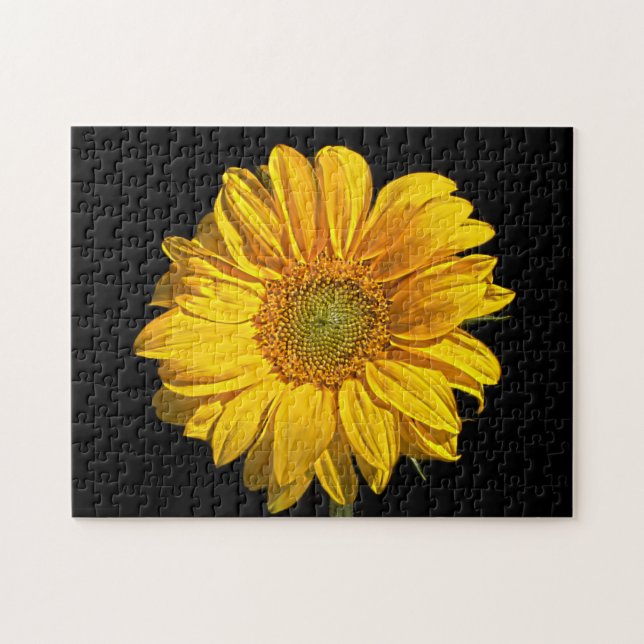 Sonnenblume 11x14 252pc jpa (Horizontal)