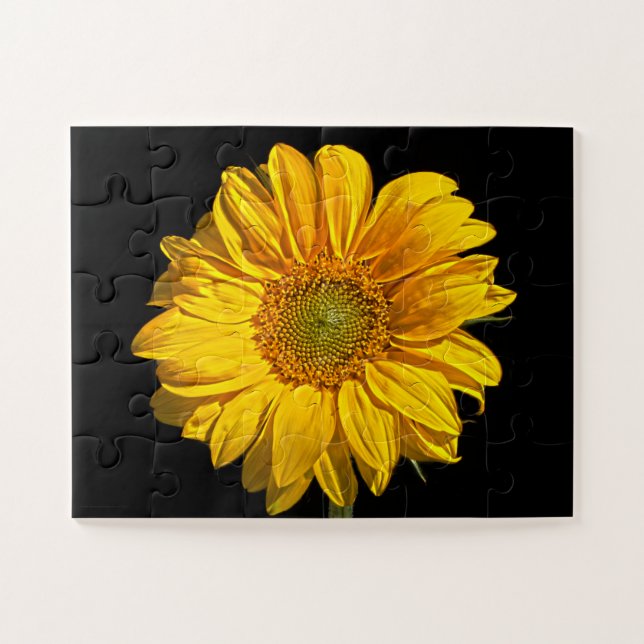 Sonnenblume 11x14 30pc jpcna (Horizontal)